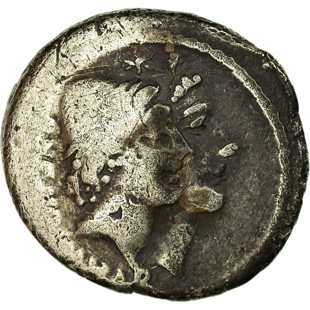 minca,
Cordia,
dinár